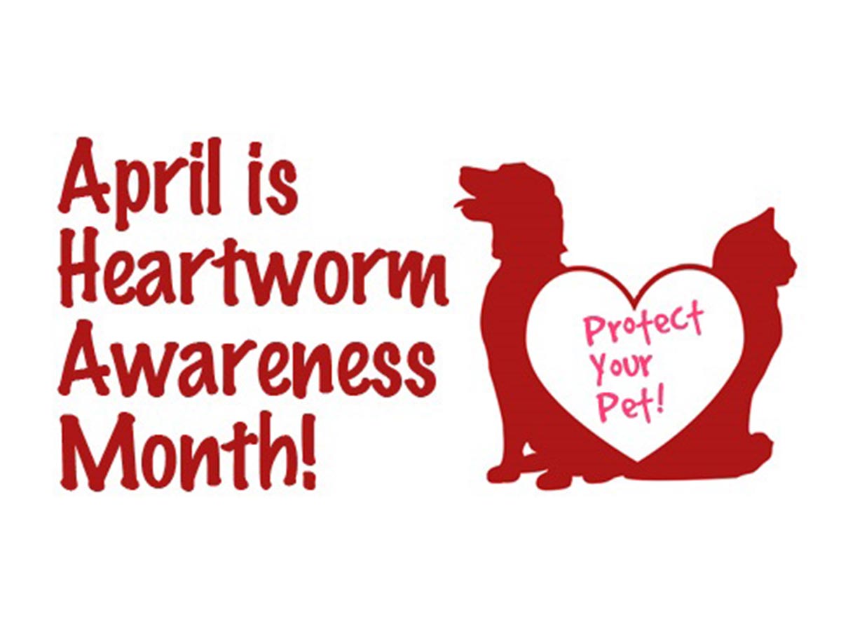 April is Heartworm Awareness Month